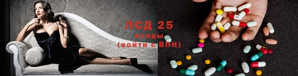 шишки Липки