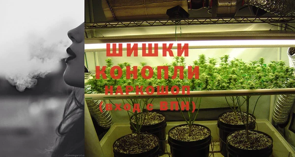 шишки Липки
