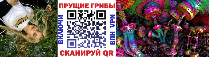 Псилоцибиновые грибы ЛСД  ссылка на мегу онион  дарк нет формула  закладка  Шилка 